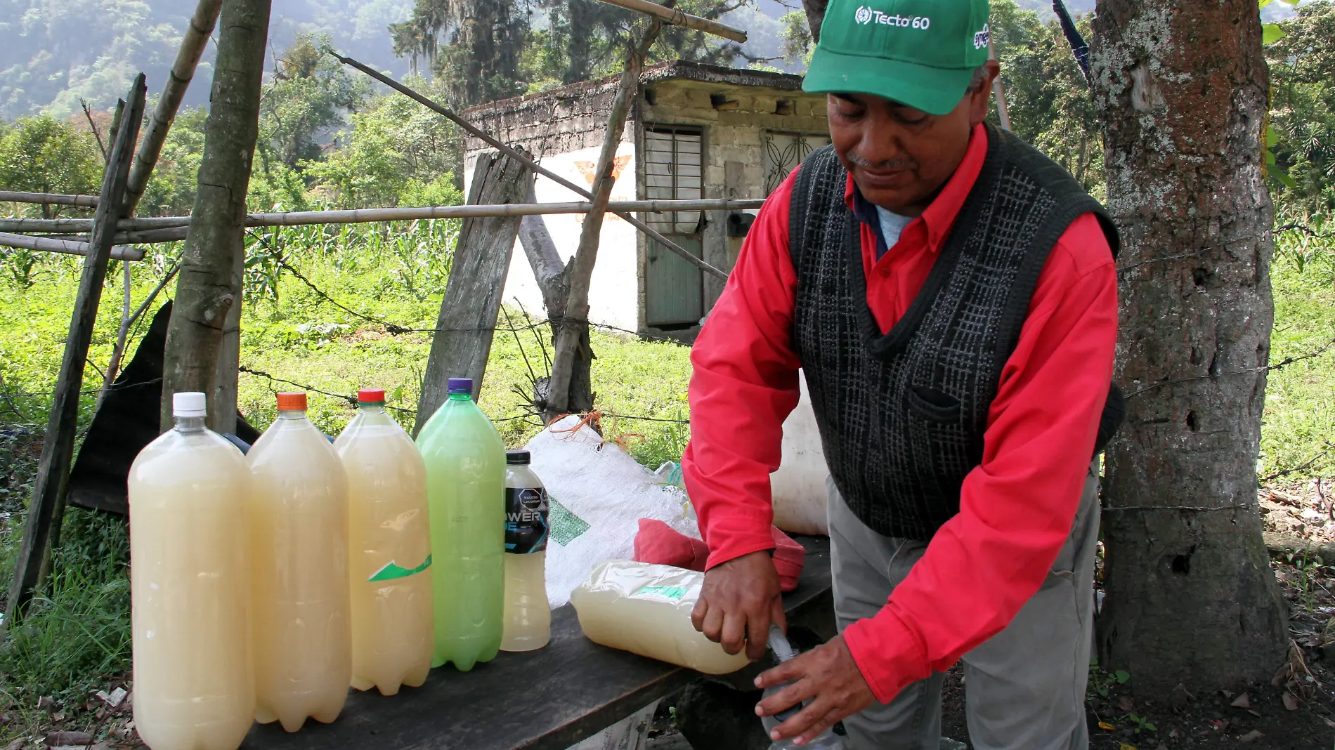 JE190420235052Venta de Pulque- Jose Narciso Herrera (10)